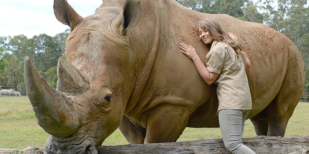 Rhino with Bindi Irwin