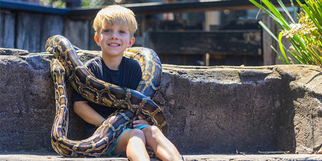 A snake wrapped around a kid