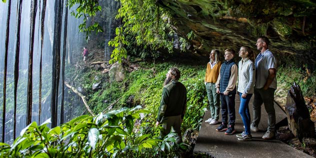 A family enjoying a ranger-guided walk through Dorrigo National Park, Dorrigo Mountain.