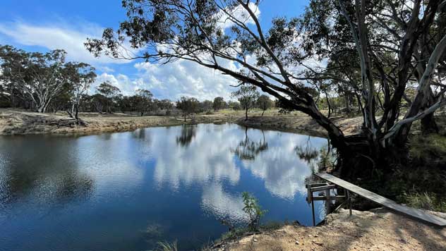 A tree branch hangs in front of Tingha Sand Pits waterhole