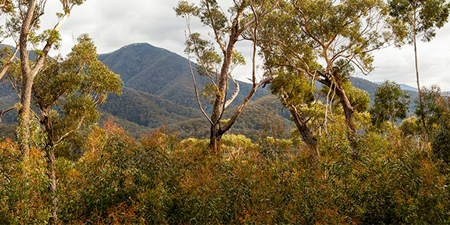 ive of the best free campsites between Sydney and Melbourne